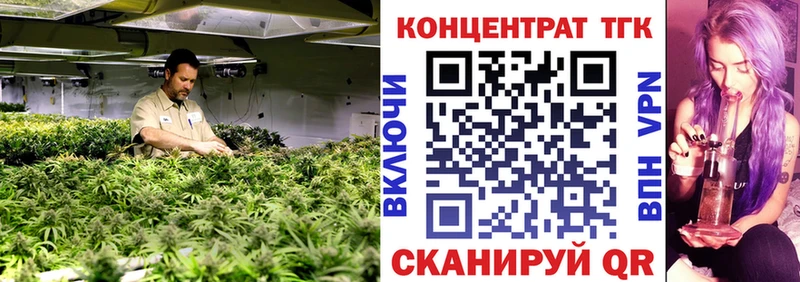 ТГК Wax  Камызяк 